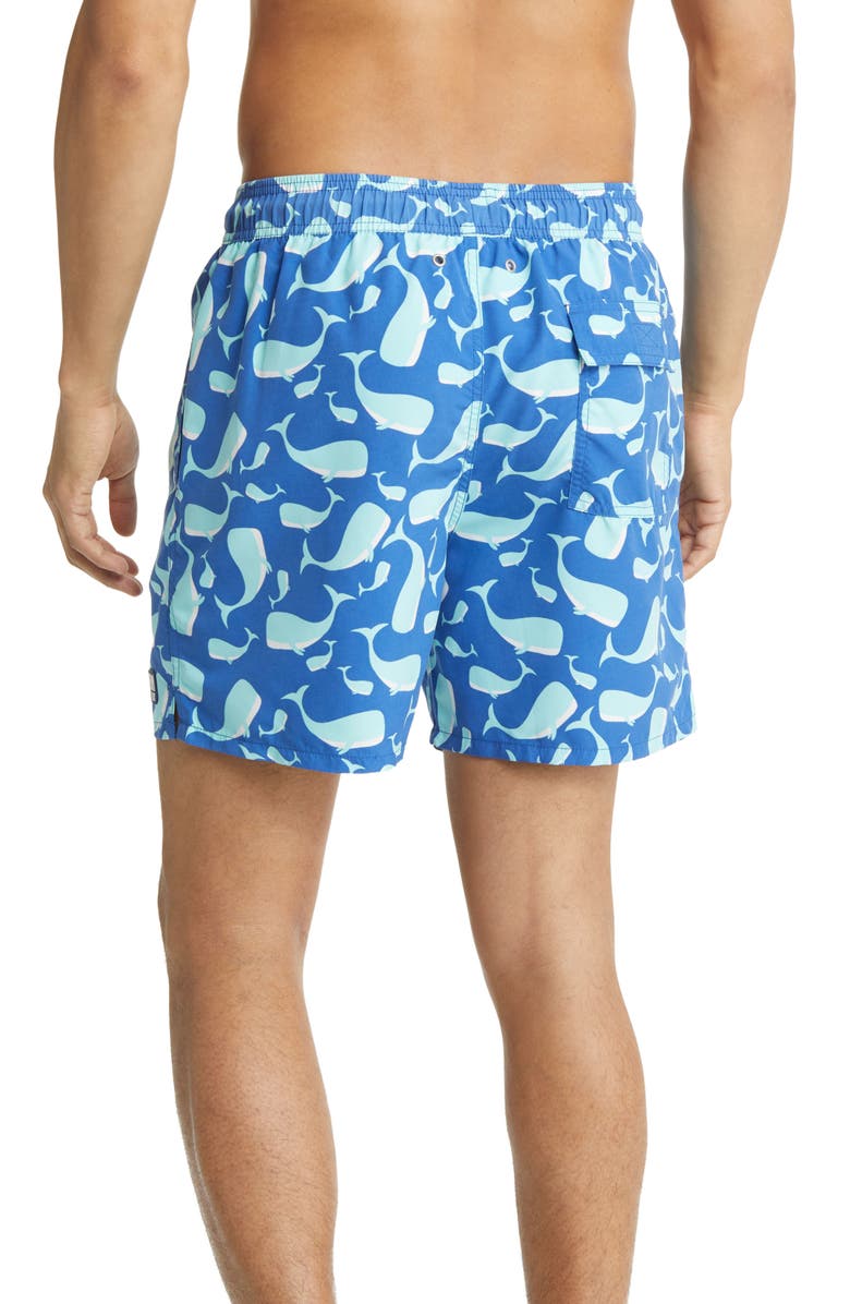 Tom
Teddy Whale Print Swim Trunks, Alternate, color, Navy
Aqua