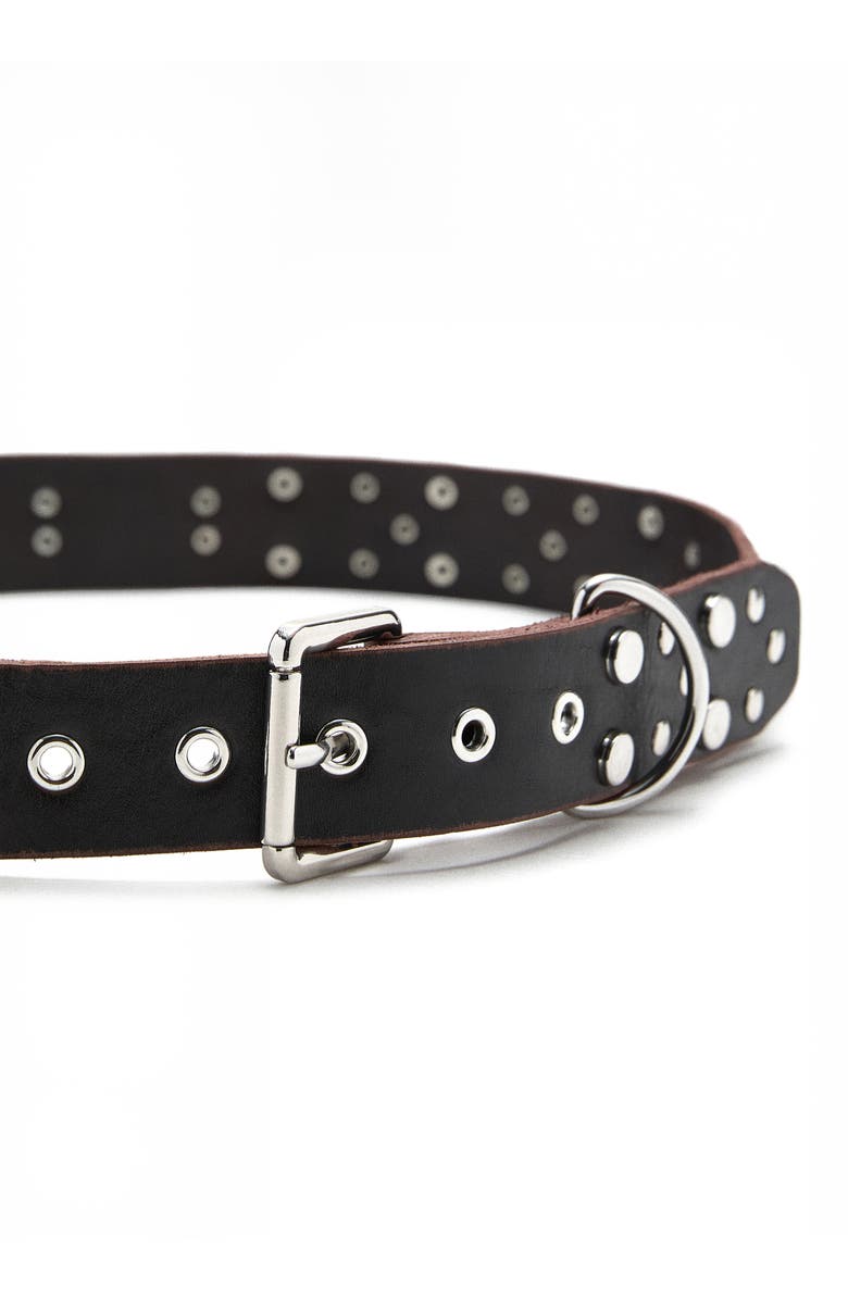 MANGO Studded Leather Belt, Alternate, color, Chocolate