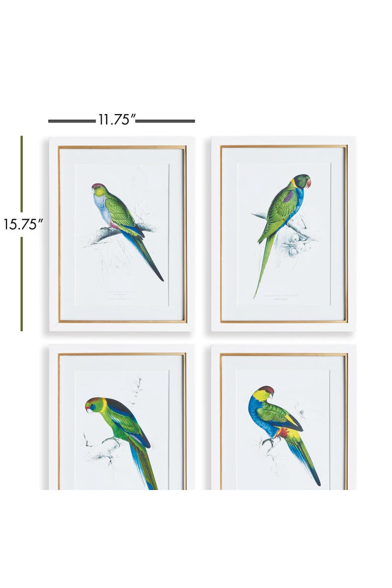 Colorful Parrots Prints St/4, Alternate, color, Green