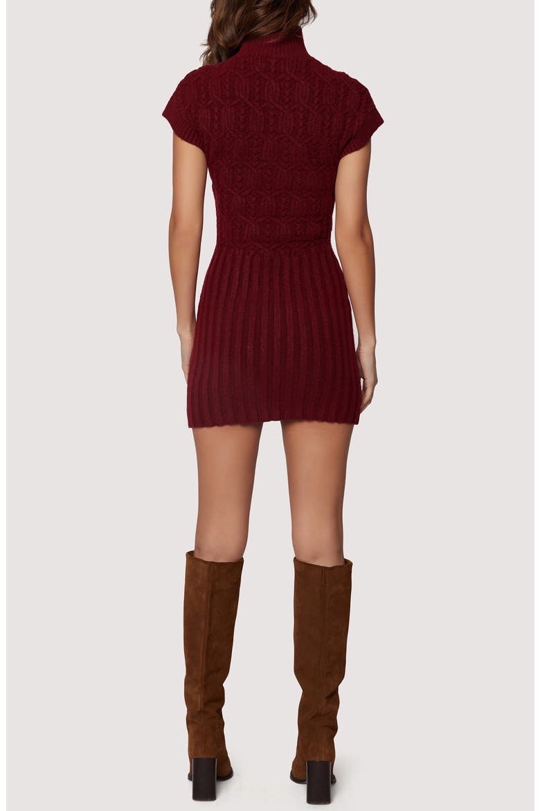 Beatrice Mixed Stitch Sweater Minidress, Alternate, color, BURGUNDY
