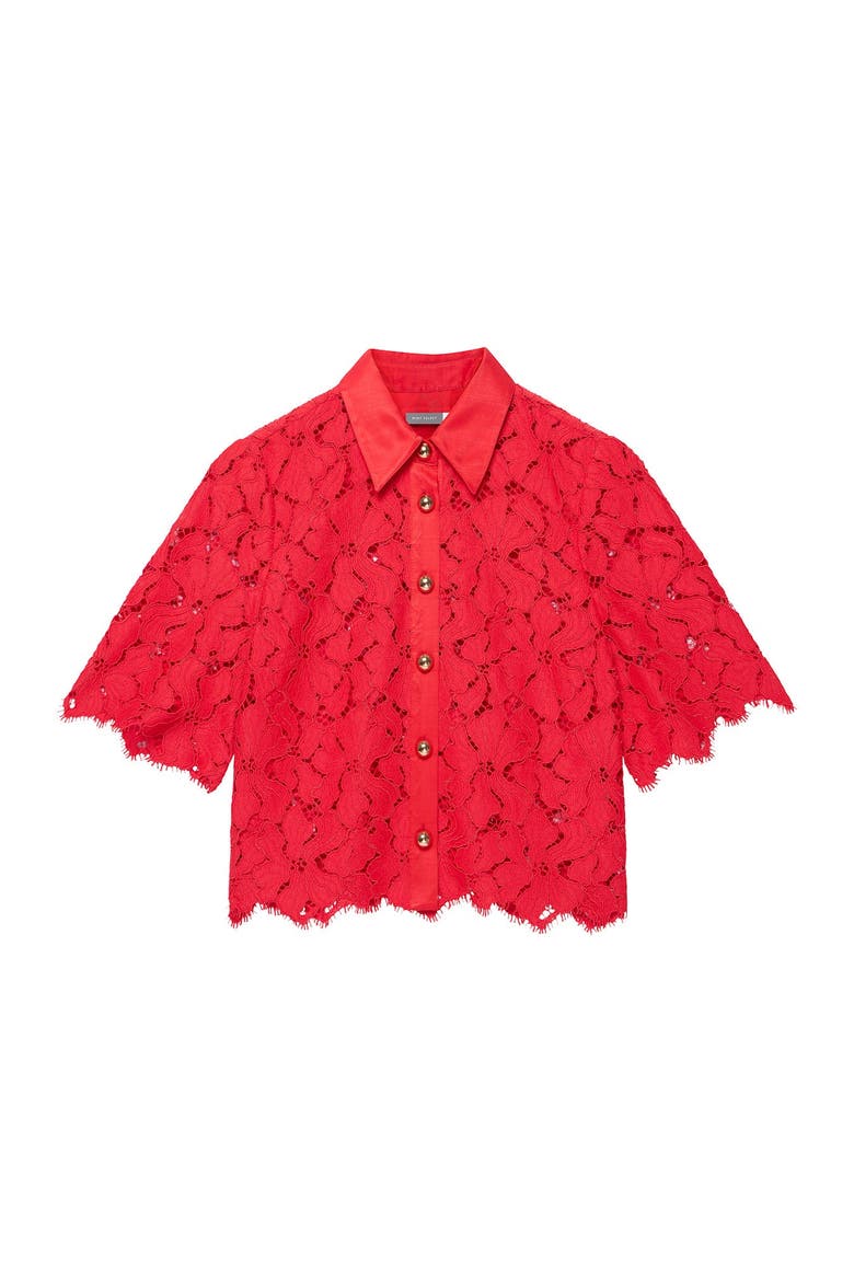 Lace Short Sleeve Cropped Shirt, Alternate, color, Red