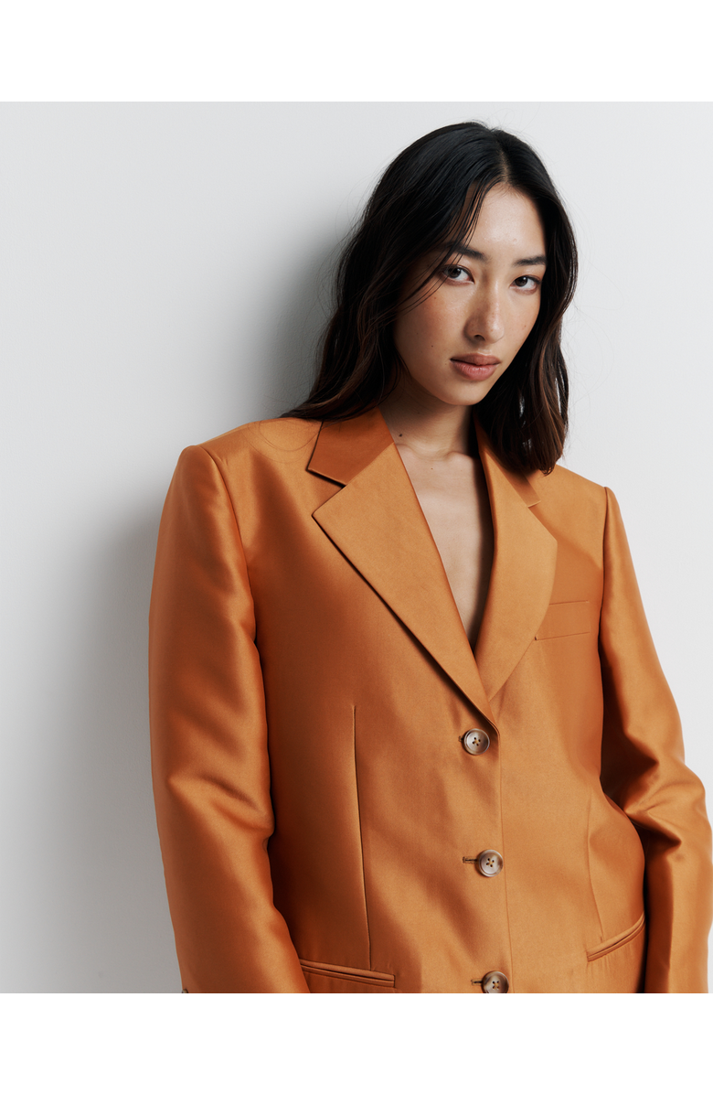 Romy Gemini Blazer, Alternate, color, Amber