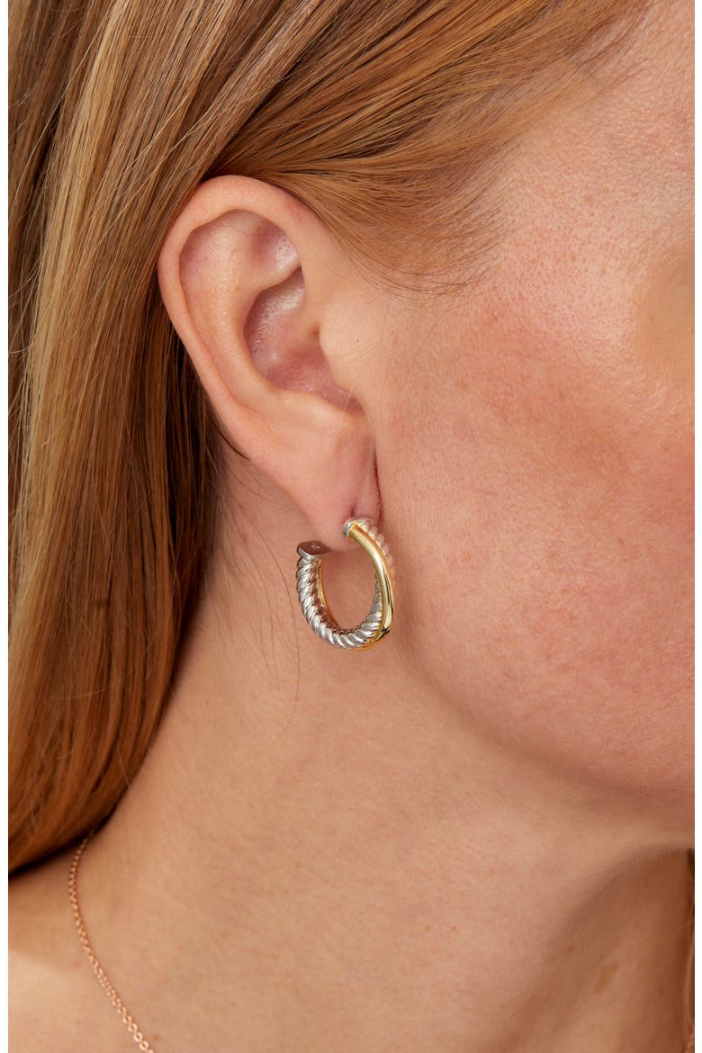 Two Tone Twisted Hoop Earrings, Alternate, color, TWO TONE