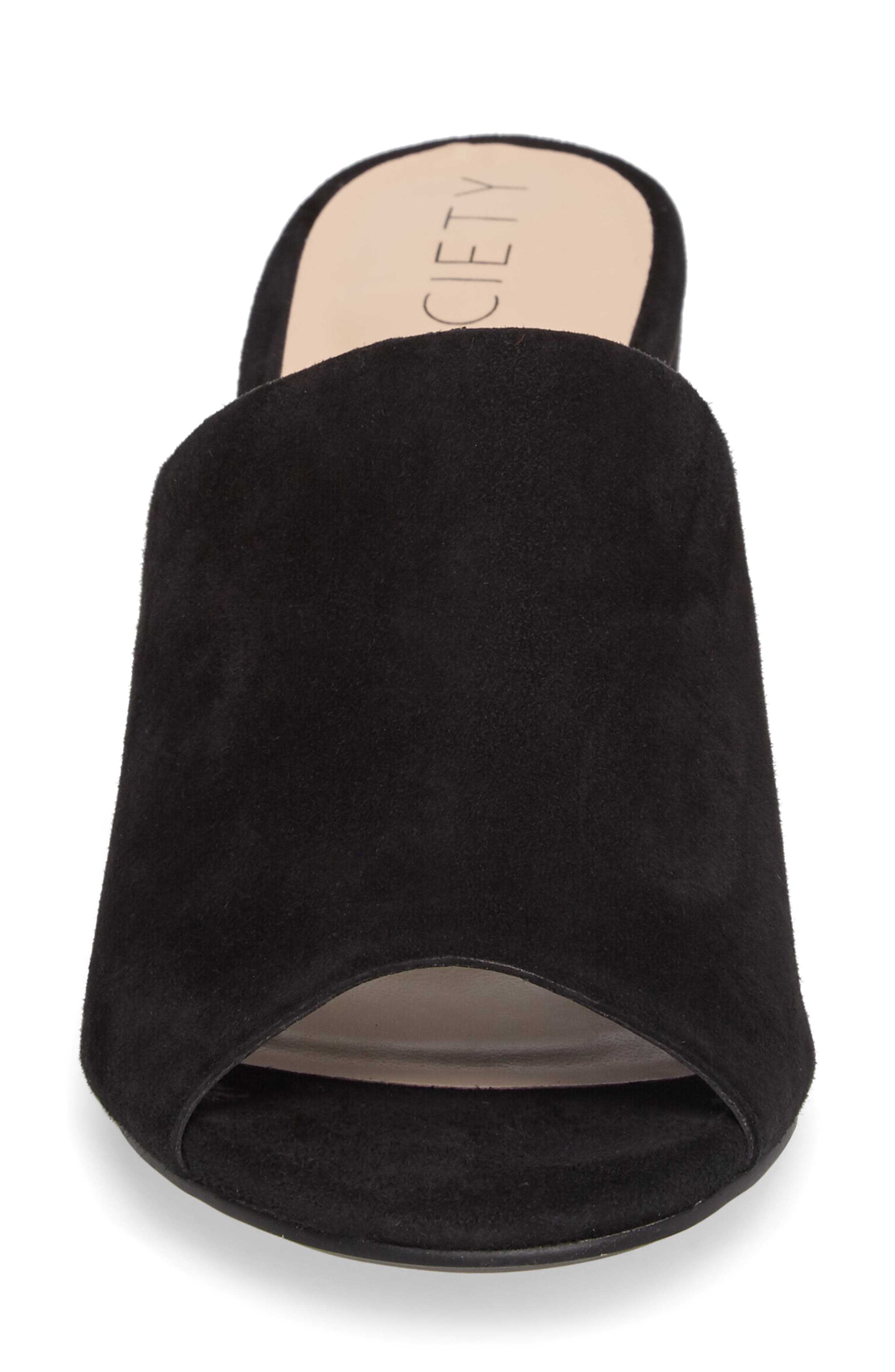 Ashwell Mule, Alternate, color, BLACK SUEDE