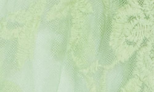 Area Stars Floral Lace Ruana In Sage