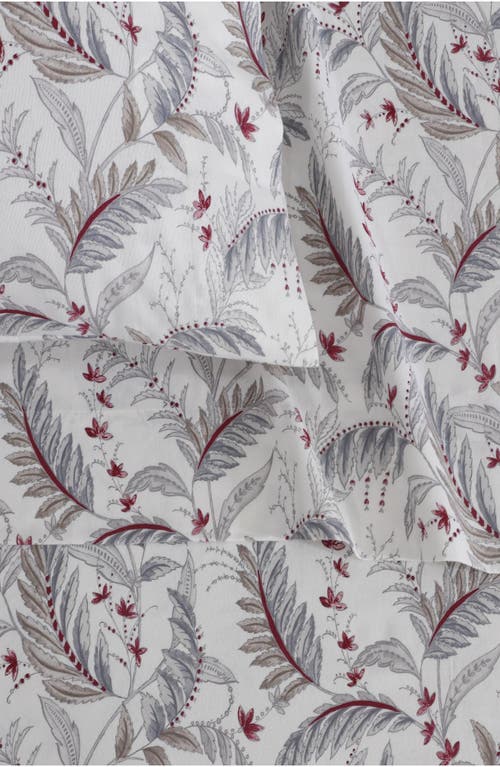 Azores Home Print Cotton Flannel Sheet Set In Multi