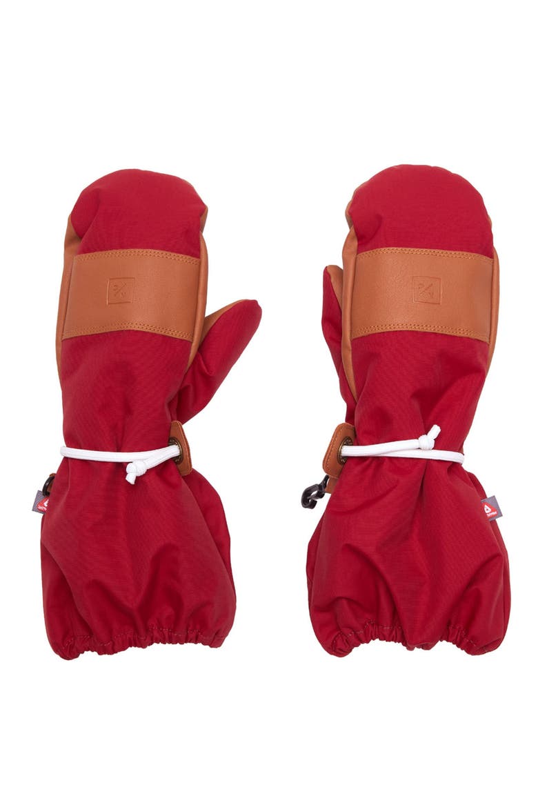 Waterproof Ski Mitten, Main, color, Heritage Red