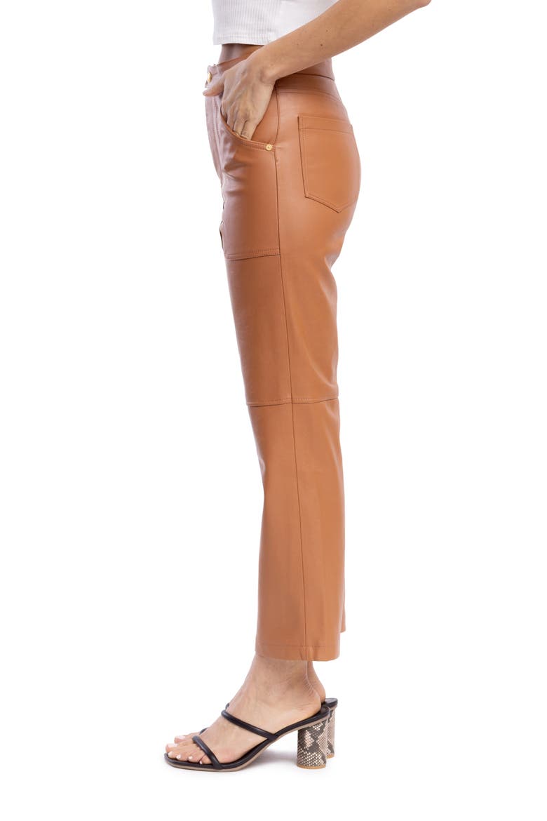 Baxter Rib Cage Pants, Alternate, color, THICK SKIN