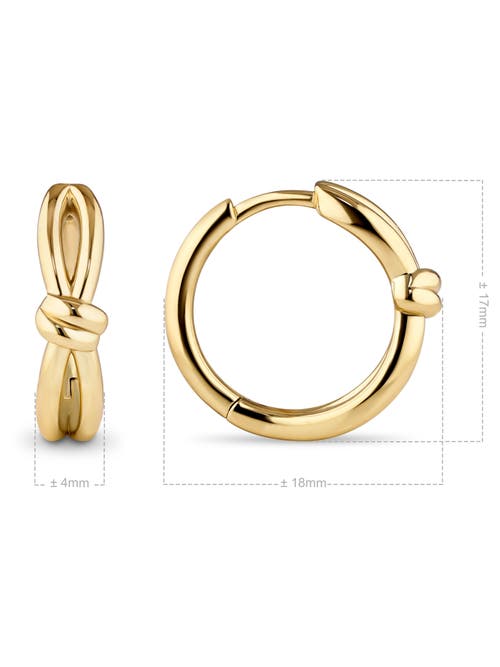 Devata Love Knot Hoop Earrings In Gold
