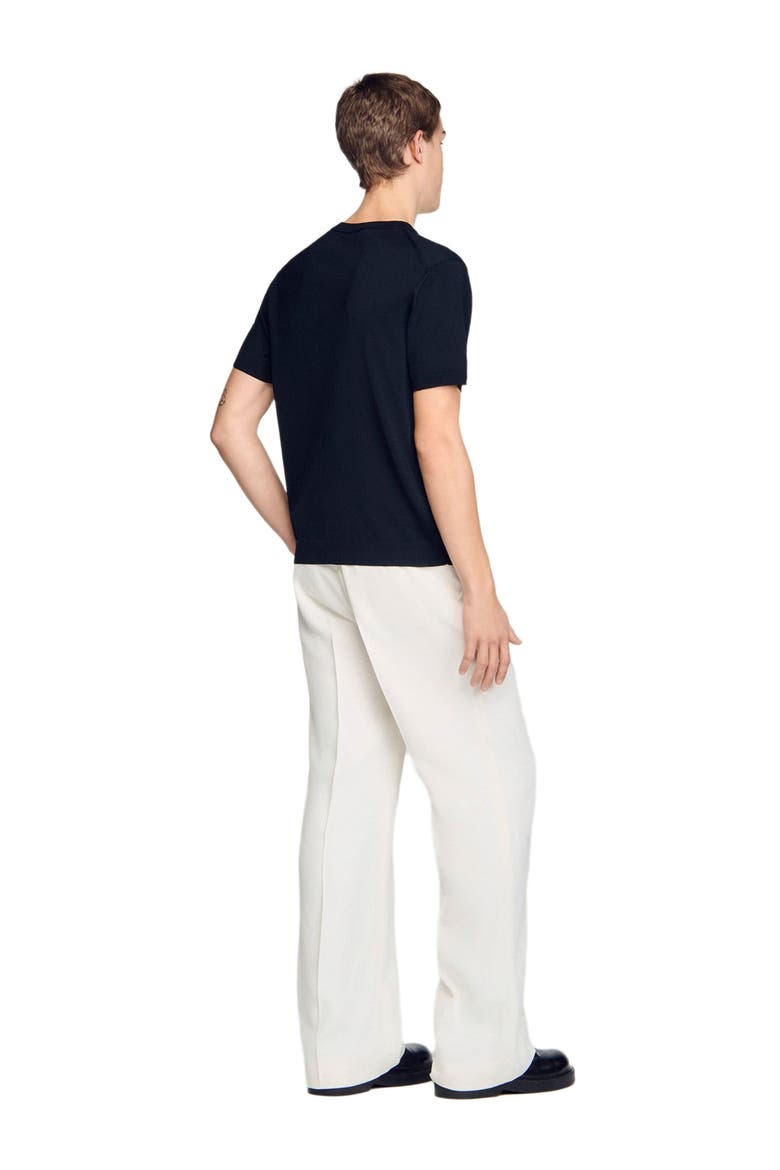 Short-sleeve V-neck polo shirt, Alternate, color, Black