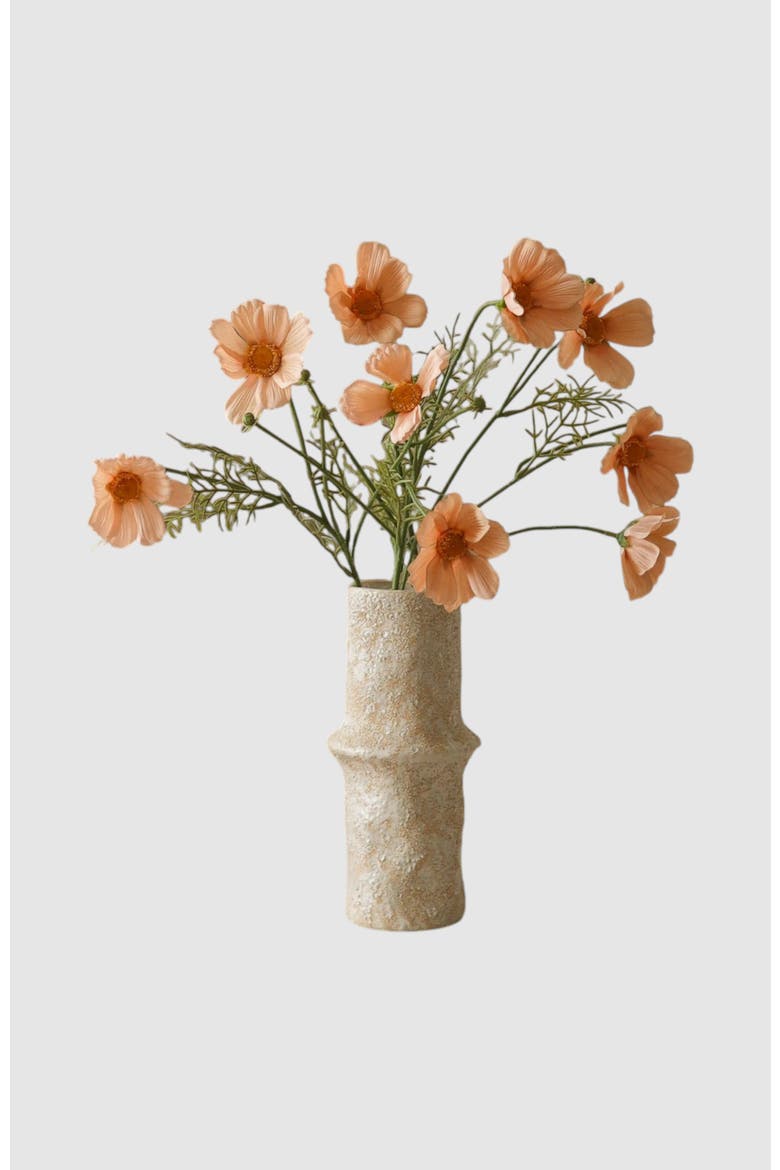 Champagne Cosmo Daisy Flower, Alternate, color, Beige