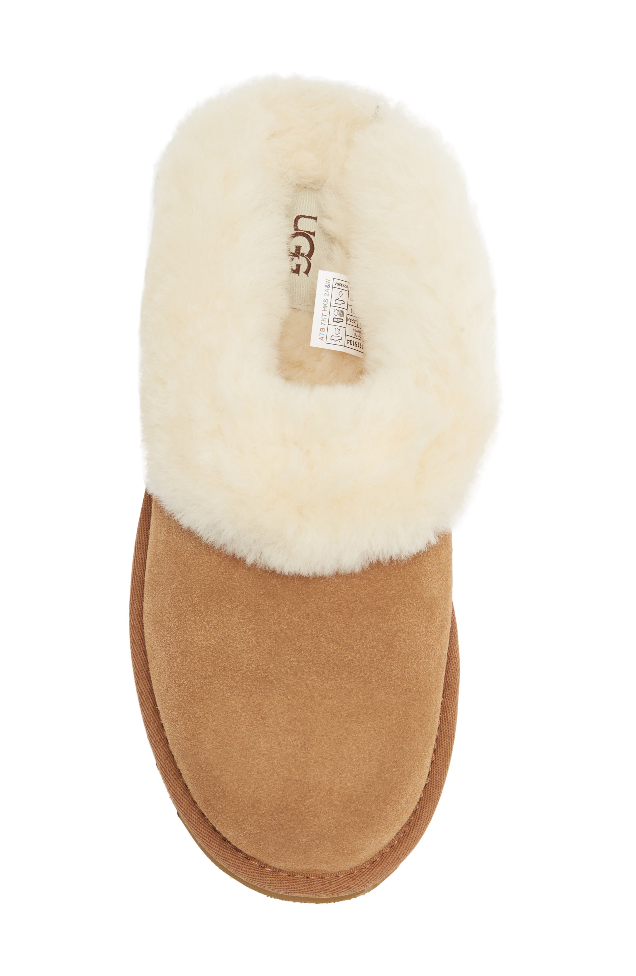 UGG® Clugette Genuine Shearling Clog (Women) | Nordstromrack
