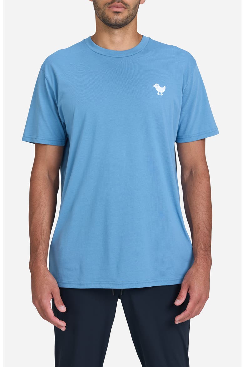 Bad Logo Graphic T-Shirt, Main, color, CORNET BLUE