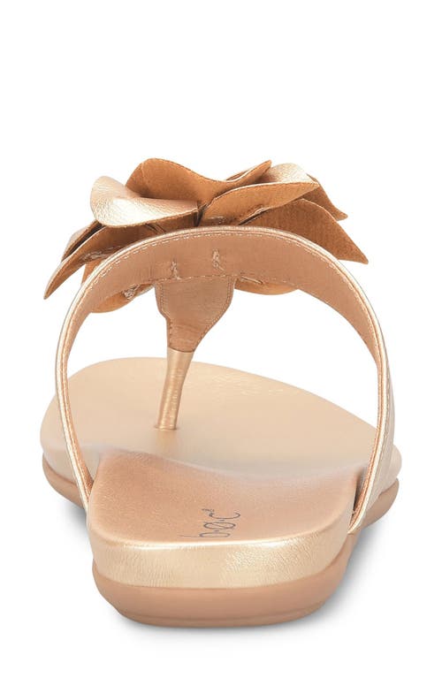 B O C By Børn Kendal Floral Appliqué Sandal