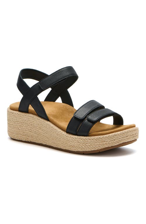 Abeo Solstice Strap In Black - Regular