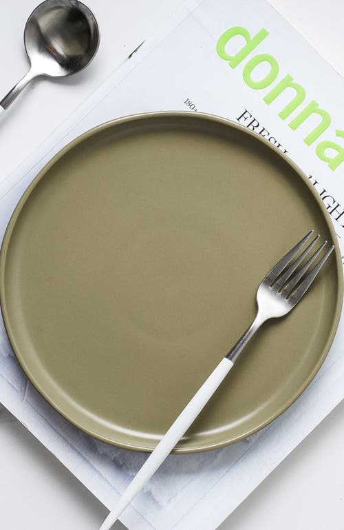 Stone Lain Tom Stoneware 4-piece Dinner Plate Set In Green