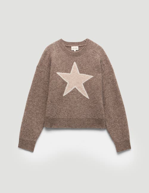 Hush Wool Blend Star Jacquard Sweater In Brown