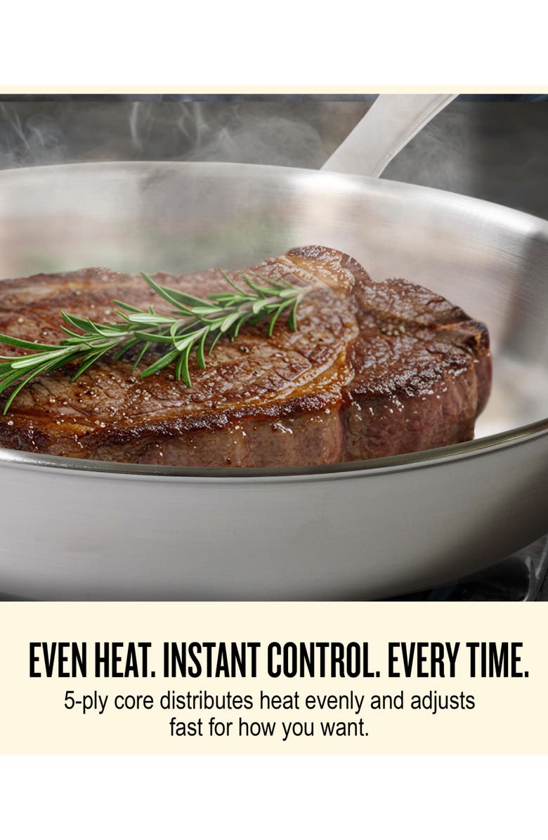 Alva Maestro Professional 5-Ply Stainless Steel Frying Pan, Alternate, color, 8 Inch