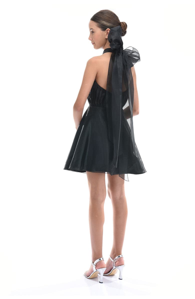 Tulleen Tivoli Dress, Alternate, color, Black