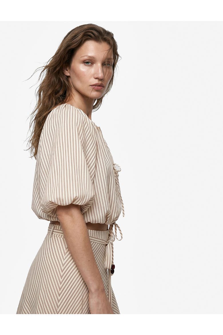 Tied Striped Puff Sleeve Crop Top, Alternate, color, BROWN STRIPE