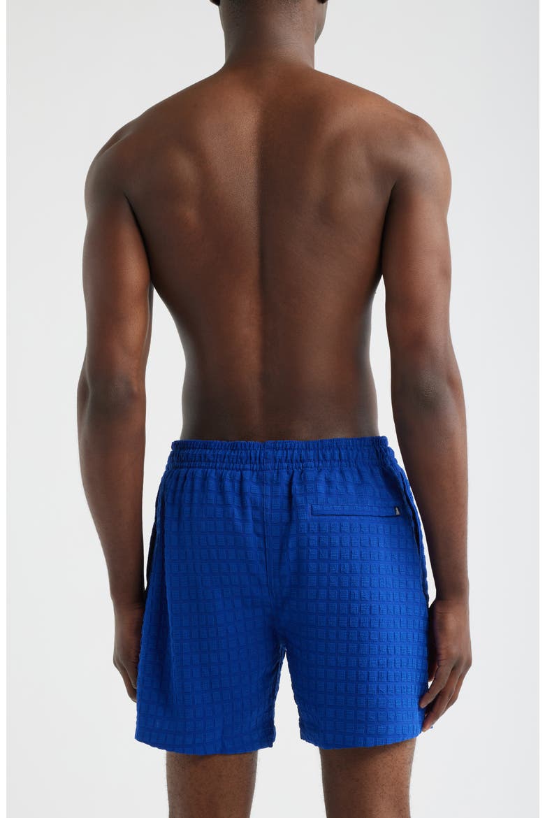 The Citrus Punches Grid Textured 5.5-Inch Swim Trunks, Alternate, color, DARK TEAL - PATTERN