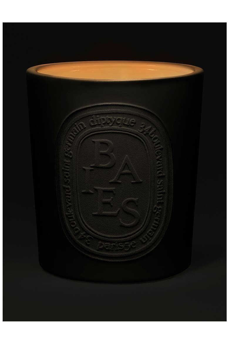 Diptyque Baies (Berries) Very Large Candle | Nordstrom