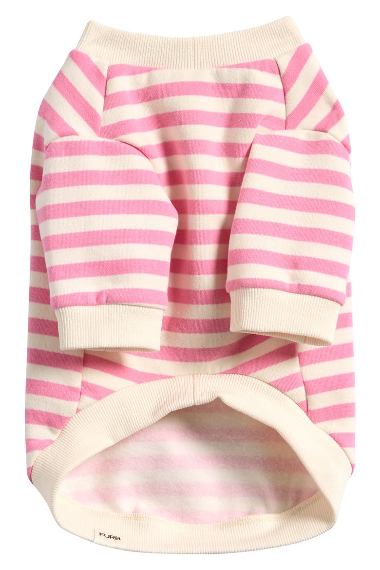 The Camden Stripe Stretch Cotton Blend Pet Sweater, Main, color, PINK/WHITE