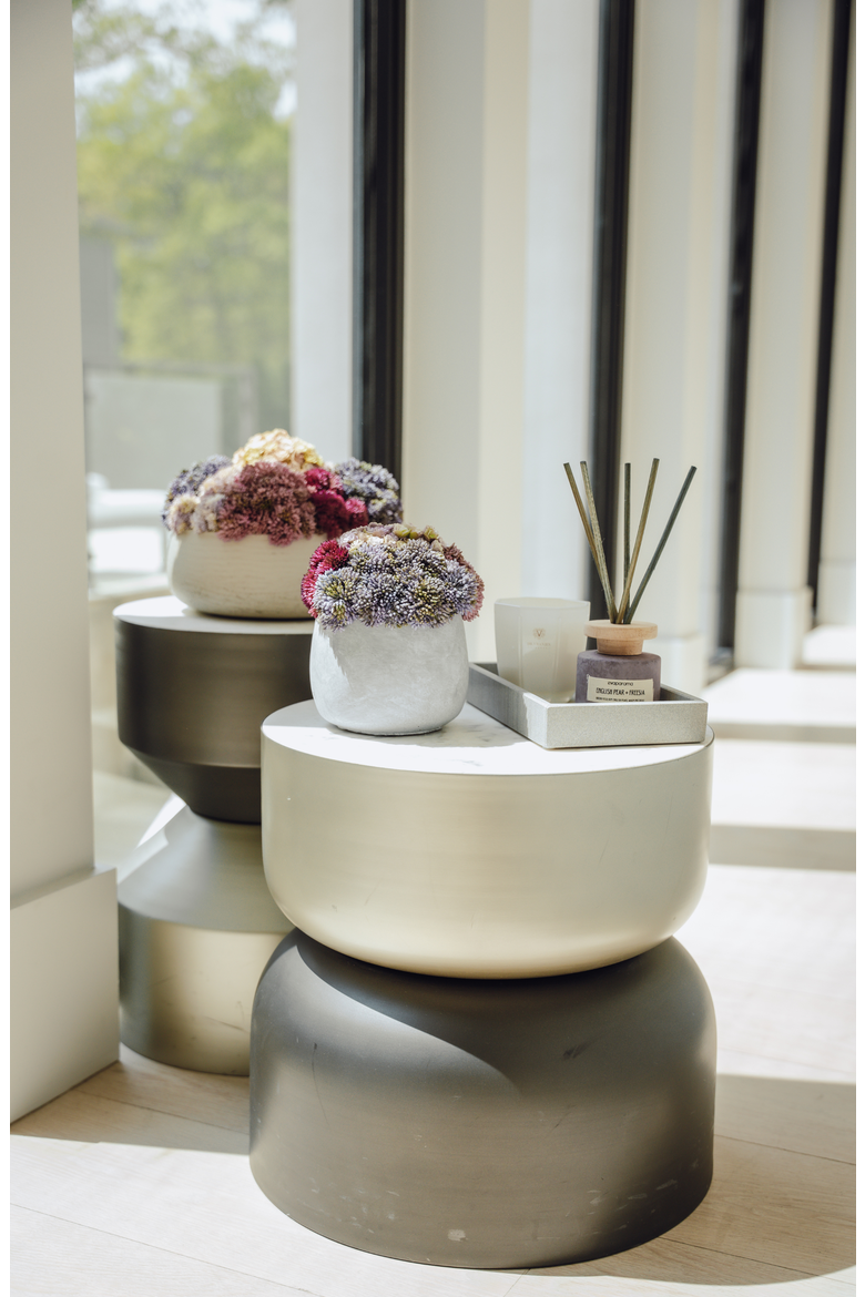 Deveraux Sedum Arrangement, Alternate, color, Multi-Color