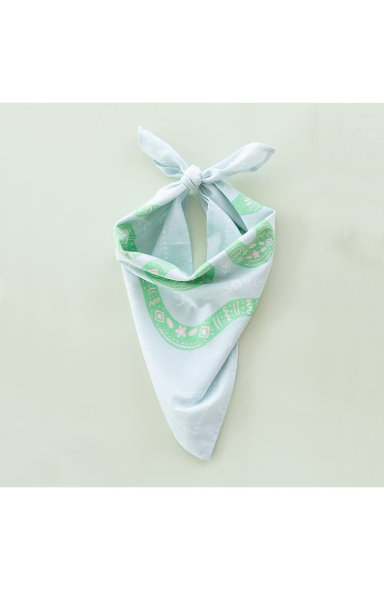 Daydream Society Yeehaw Bandana, Alternate, color, Snake