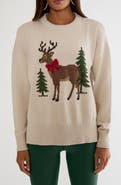 Beach Riot Callie Cotton Reindeer Sweater