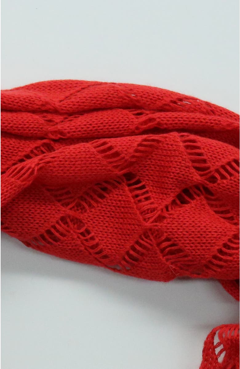 Portolano Cashmere and Silk loop scarf, Alternate, color, Red