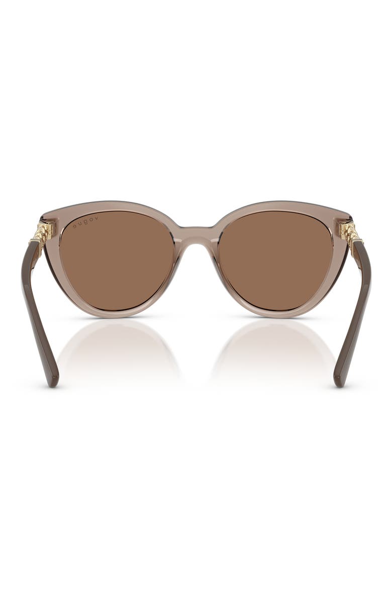 53mm Cat Eye Sunglasses, Alternate, color, TRANSPARENT BROWN