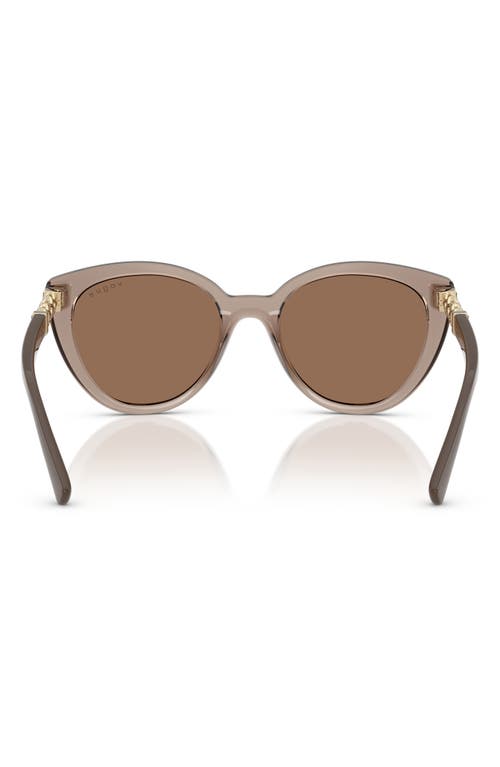 Vogue 53mm Cat Eye Sunglasses In Transparent Brown