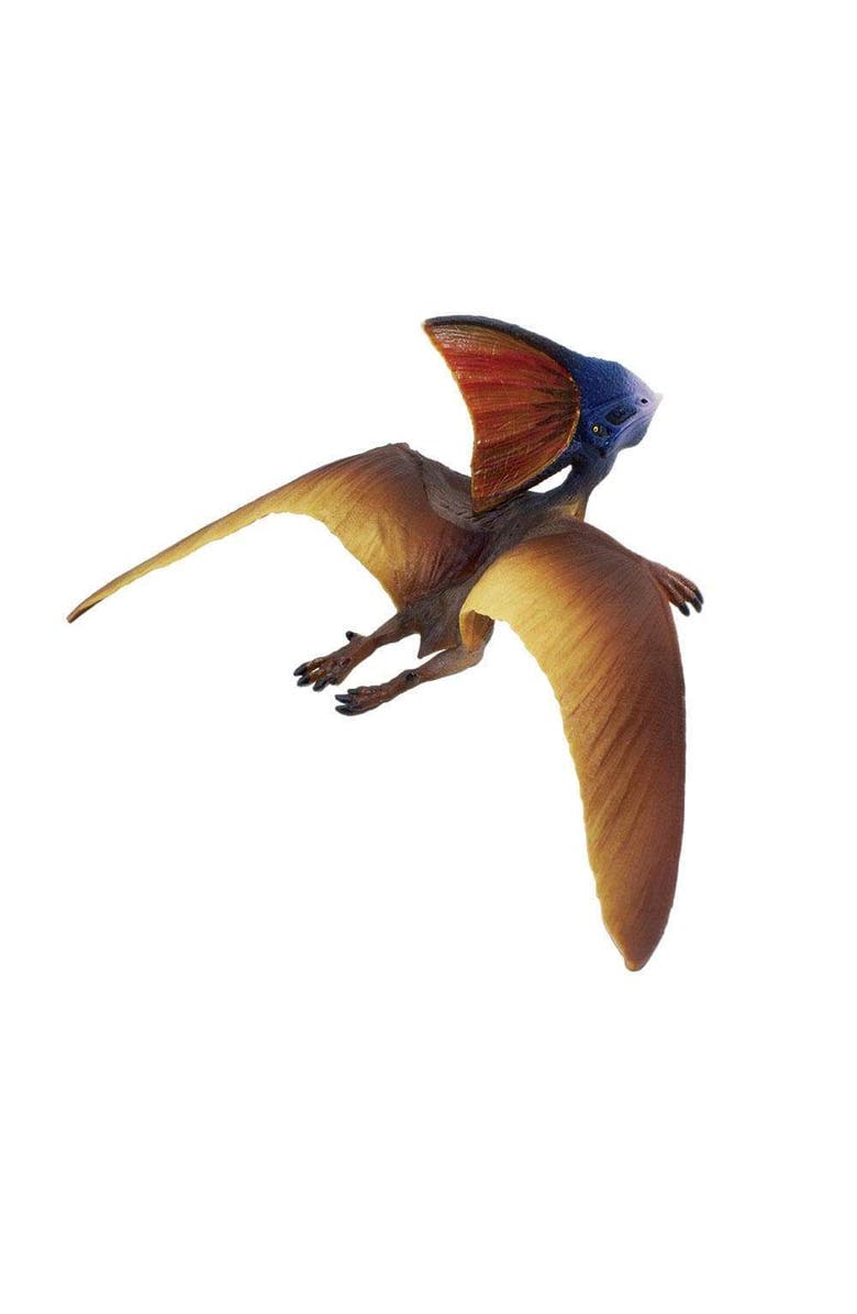 Safari Ltd. Tapejara Toy, Alternate, color, NO COLOR