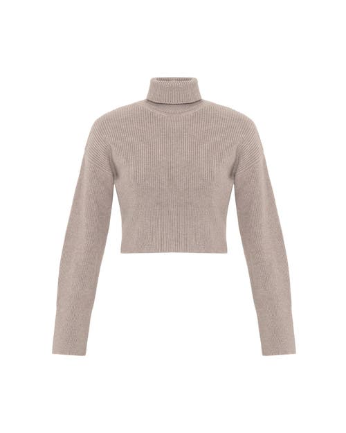 Theo The Label Angelia Cropped Turtleneck Sweater In Sustained Grey