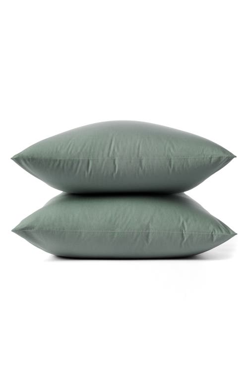 Coyuchi 300 Thread Count Organic Cotton Percale Pillowcases in Juniper  product