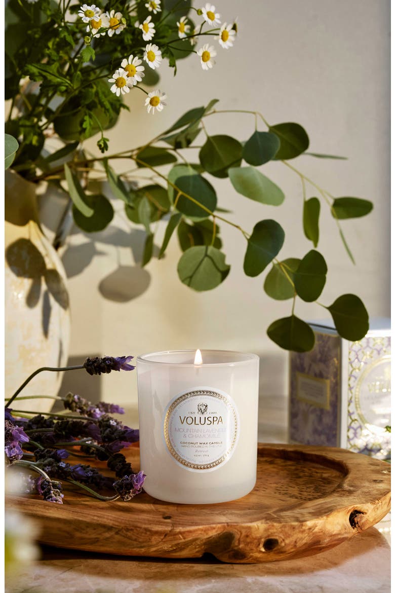 Mountain Lavender & Chamomile Boxed Classic Candle, Alternate, color, MOUNTAIN LAVENDER & CHAMOMILE