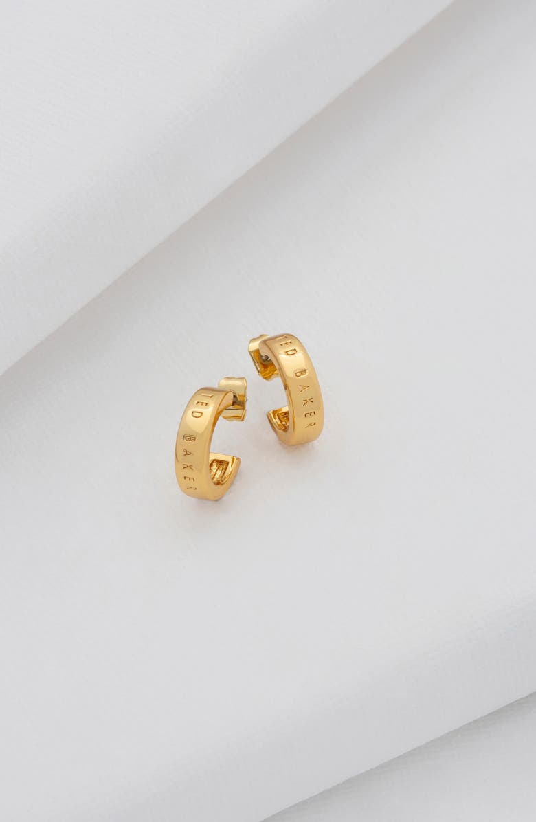 Ted Baker London Helanna Nano Logo Huggie Hoop Earrings, Alternate, color,