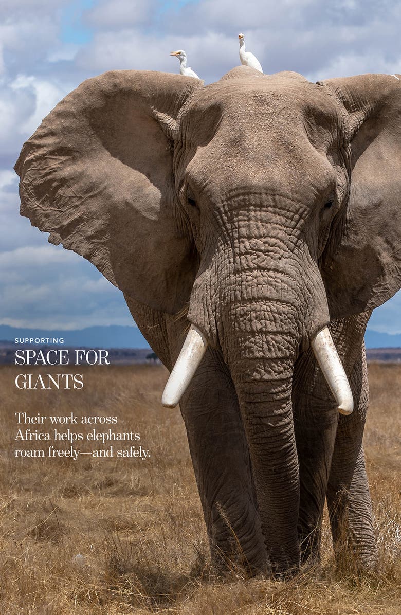 Chantecaille Luminescent Eye Shades, Alternate, color, Elephant