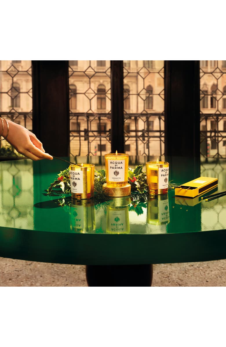 Acqua di Parma Bosco Candle, Alternate, color,