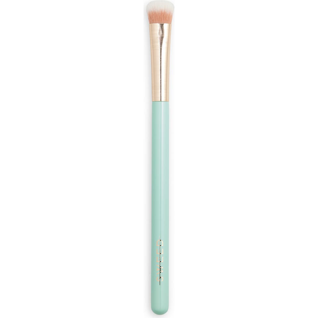 Sweed Eyeshadow Brush In Transparent