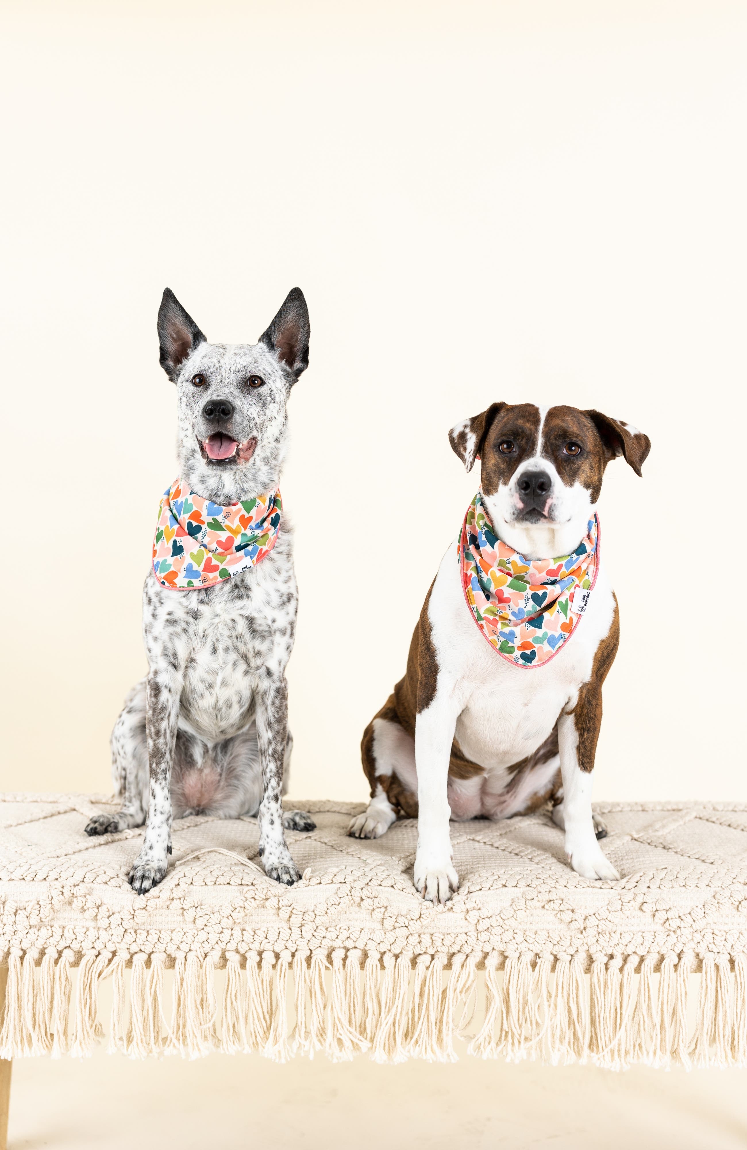 Pink Papyrus Amelia Pet Bandana | Nordstrom