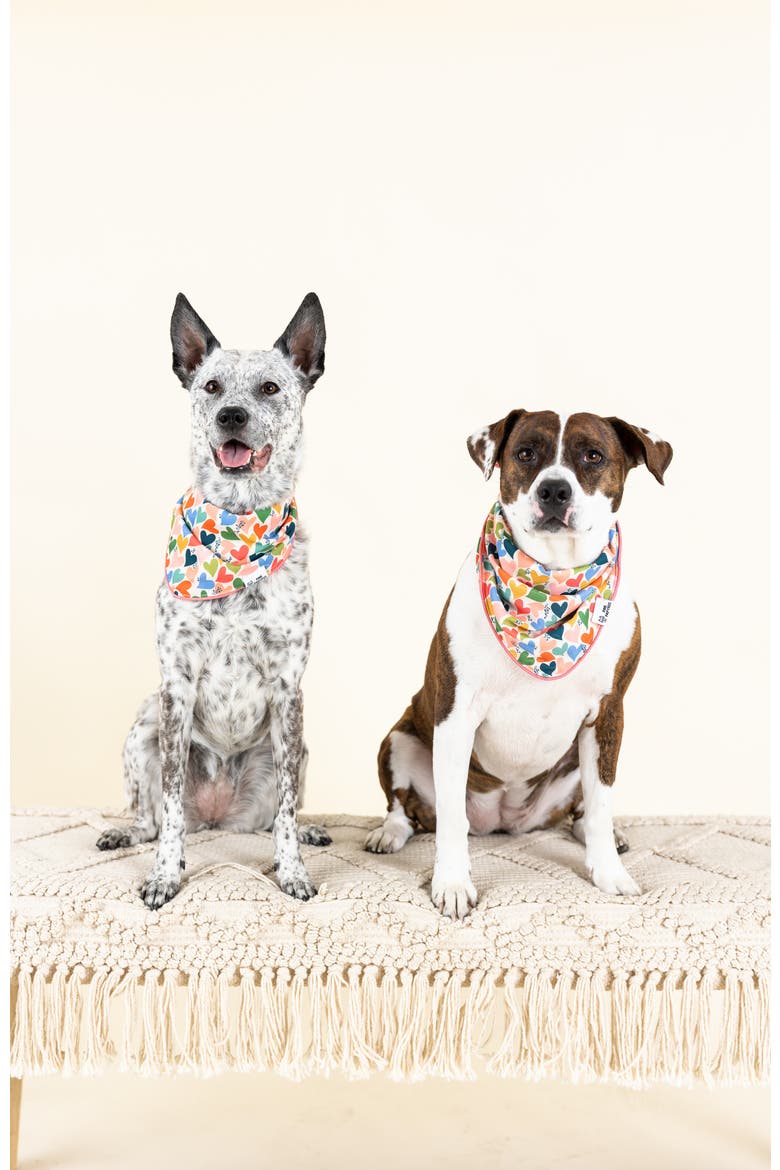 Amelia Pet Bandana, Alternate, color, Amelia