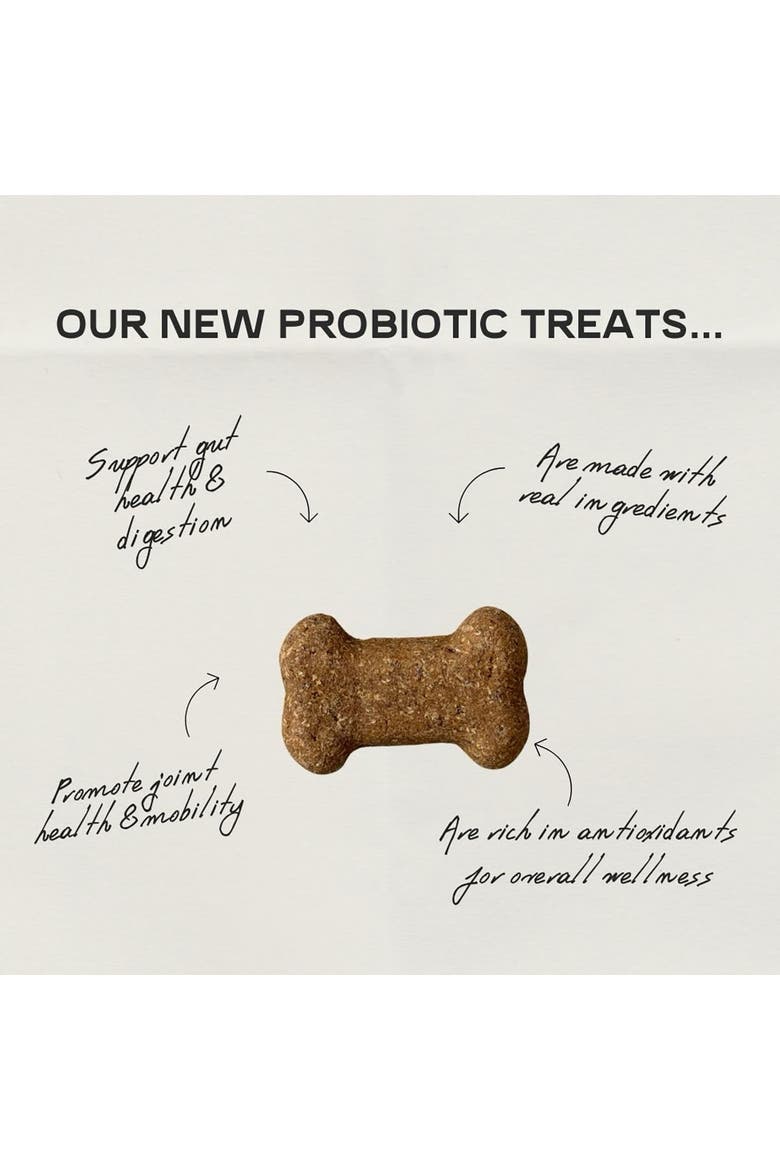 Pumpkin & Banana 8oz Probiotic Dog Treats, Alternate, color, Orange