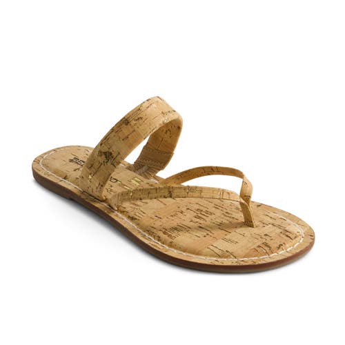 BERNARDO FOOTWEAR BERNARDO FOOTWEAR LEIA THONG SANDAL
