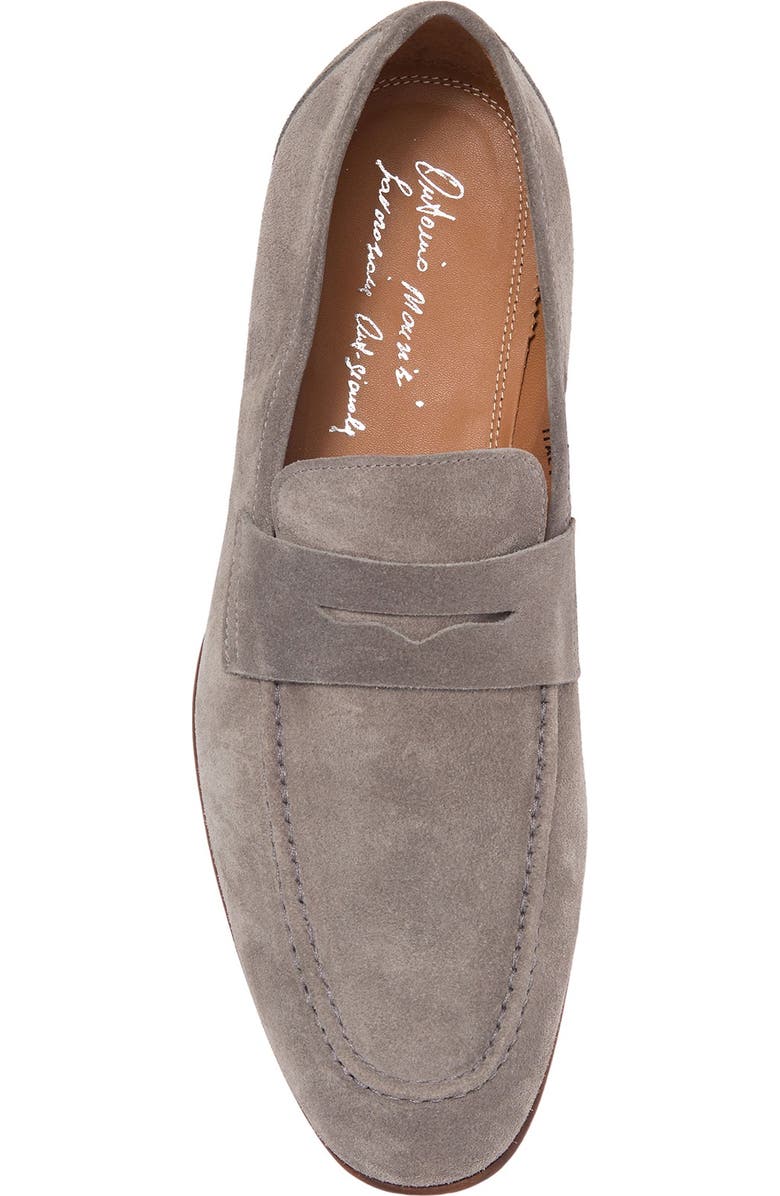 ANTONIO MAURIZI Suede Penny Loafer, Alternate, color,