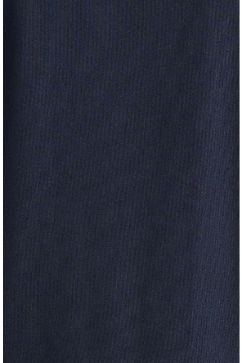Ryan Check Trim T-Shirt, Alternate, color, NAVY