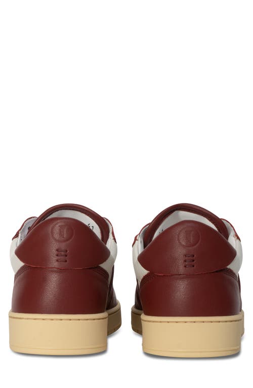 Collegium Pillar Destroyer Low Top Sneaker In Burgundy