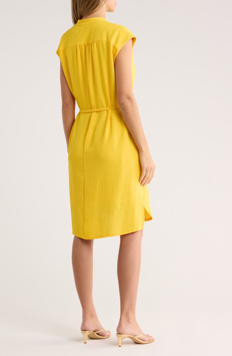 Julia Jordan Cap Sleeve A-Line Dress, Alternate, color, Yellow