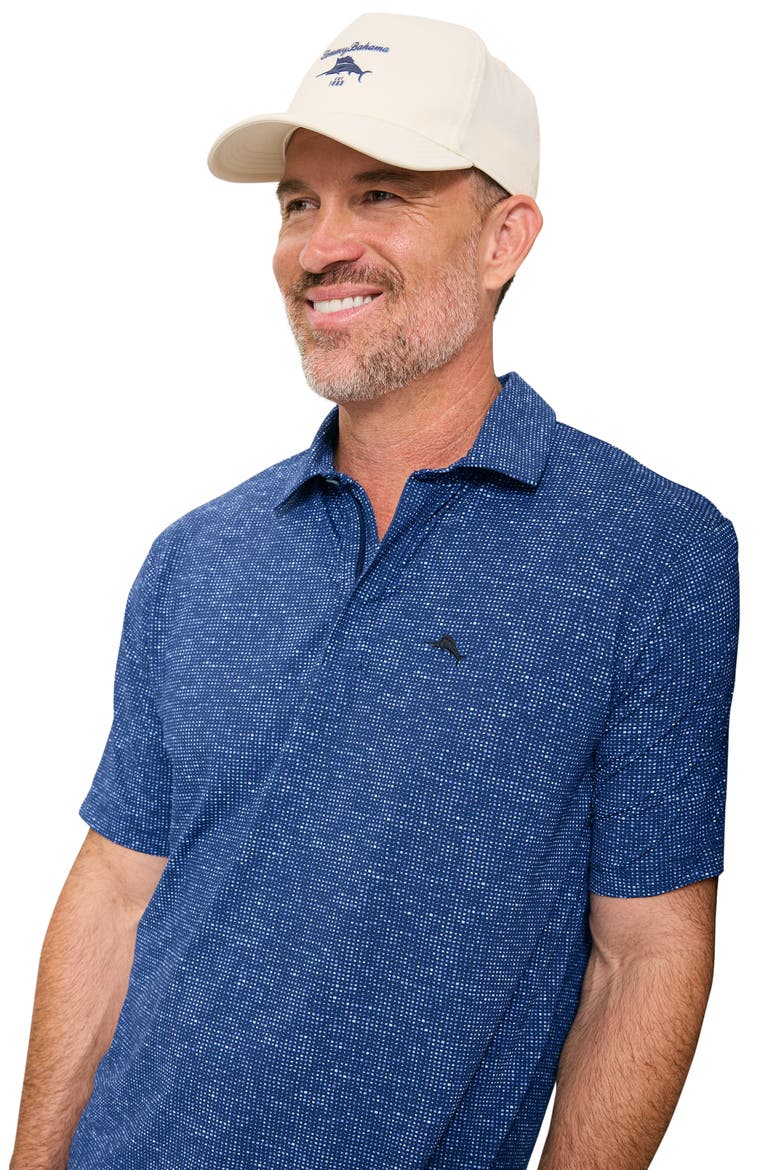 Palm Dunes IslandZone® Polo, Alternate, color, BLUE LAPIS